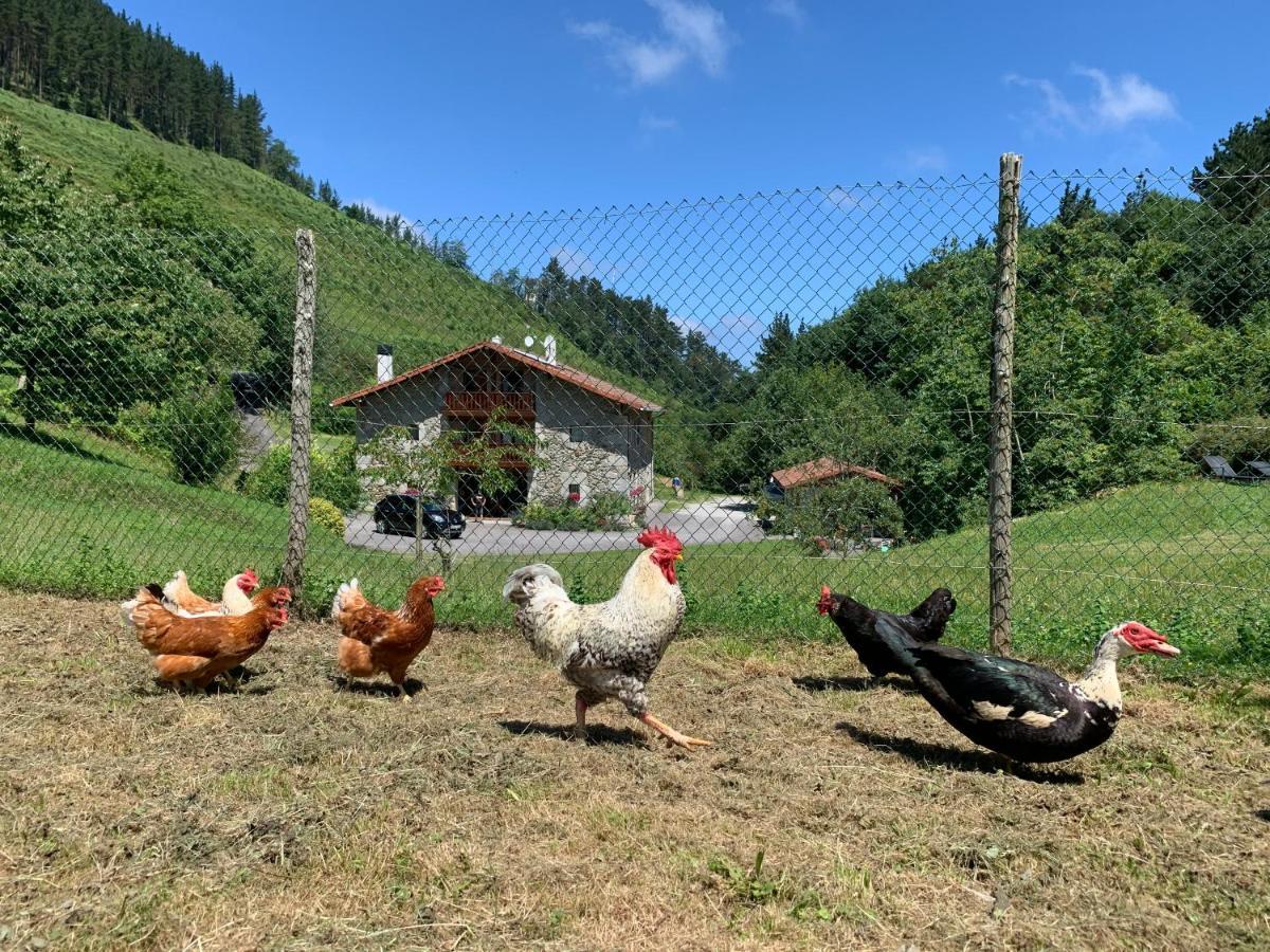 Agroturismo Urresti Gautegiz Arteaga Εξωτερικό φωτογραφία