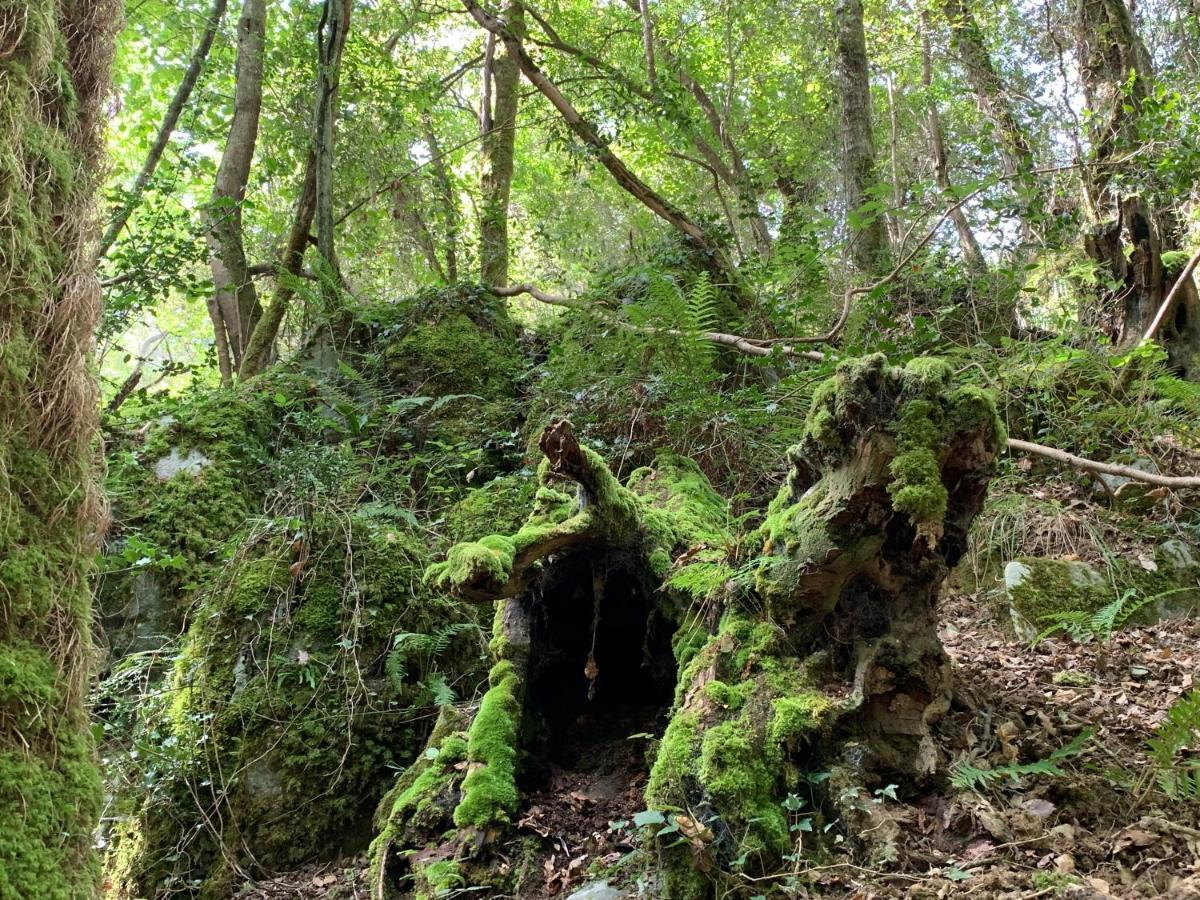 Agroturismo Urresti Gautegiz Arteaga Εξωτερικό φωτογραφία