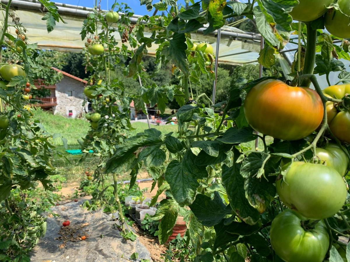 Agroturismo Urresti Gautegiz Arteaga Εξωτερικό φωτογραφία