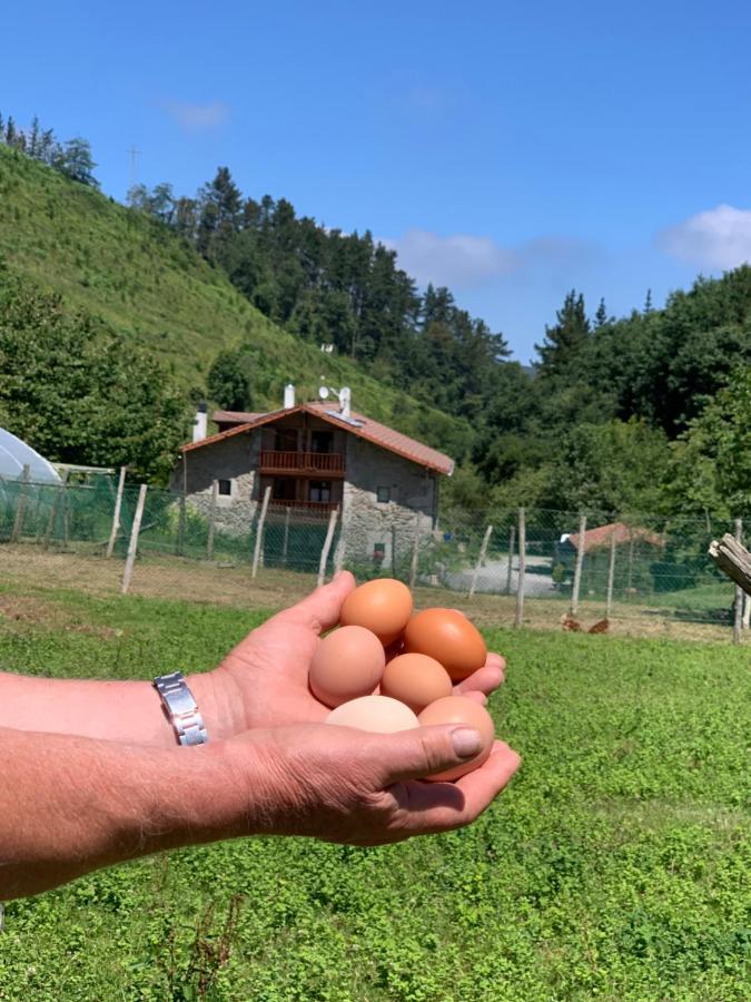 Agroturismo Urresti Gautegiz Arteaga Εξωτερικό φωτογραφία