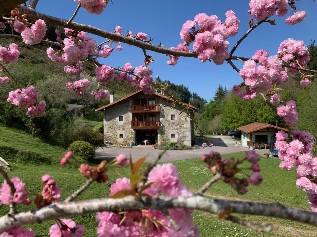 Agroturismo Urresti Gautegiz Arteaga Εξωτερικό φωτογραφία